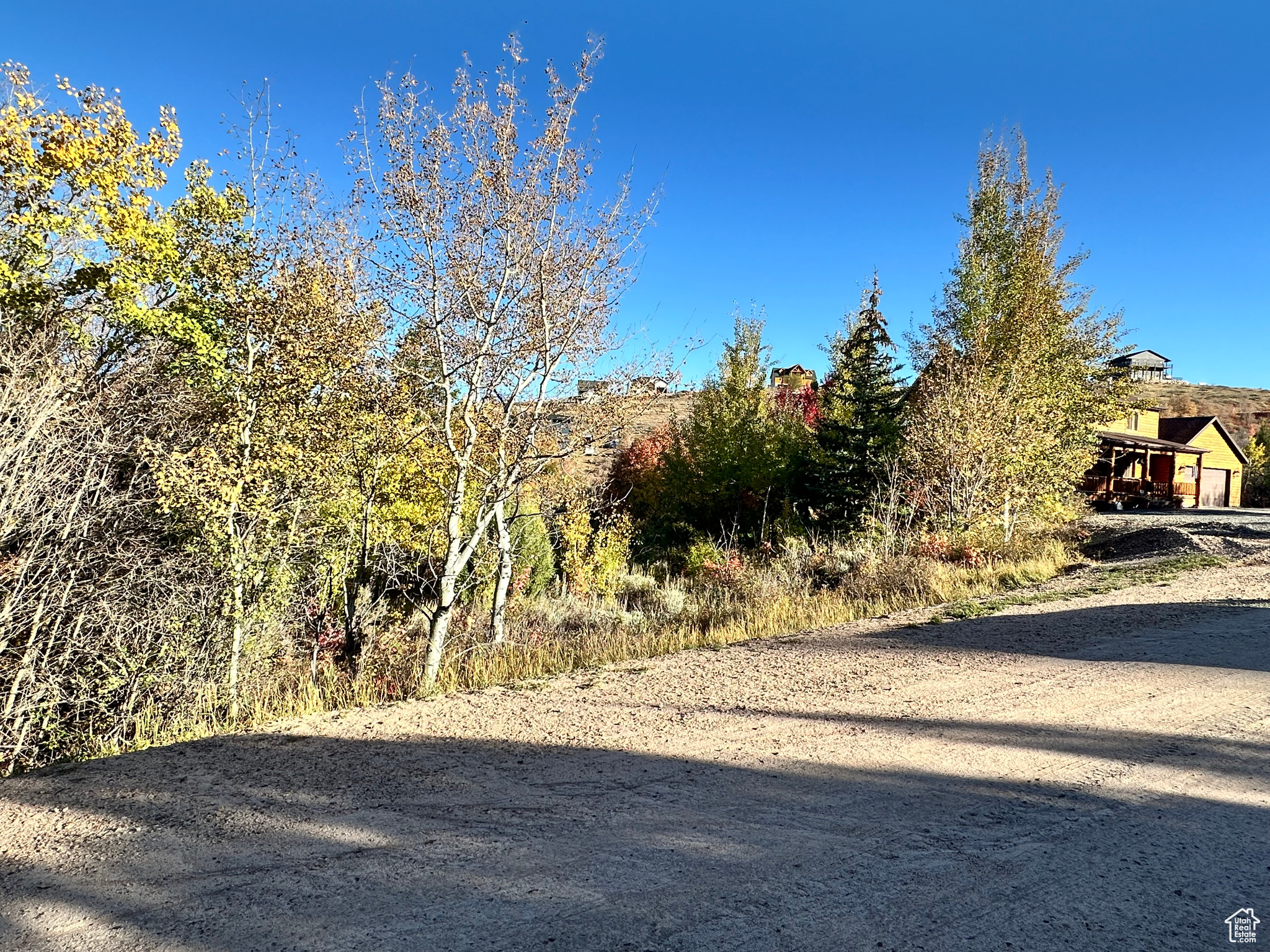 SWAN CREEK - Land