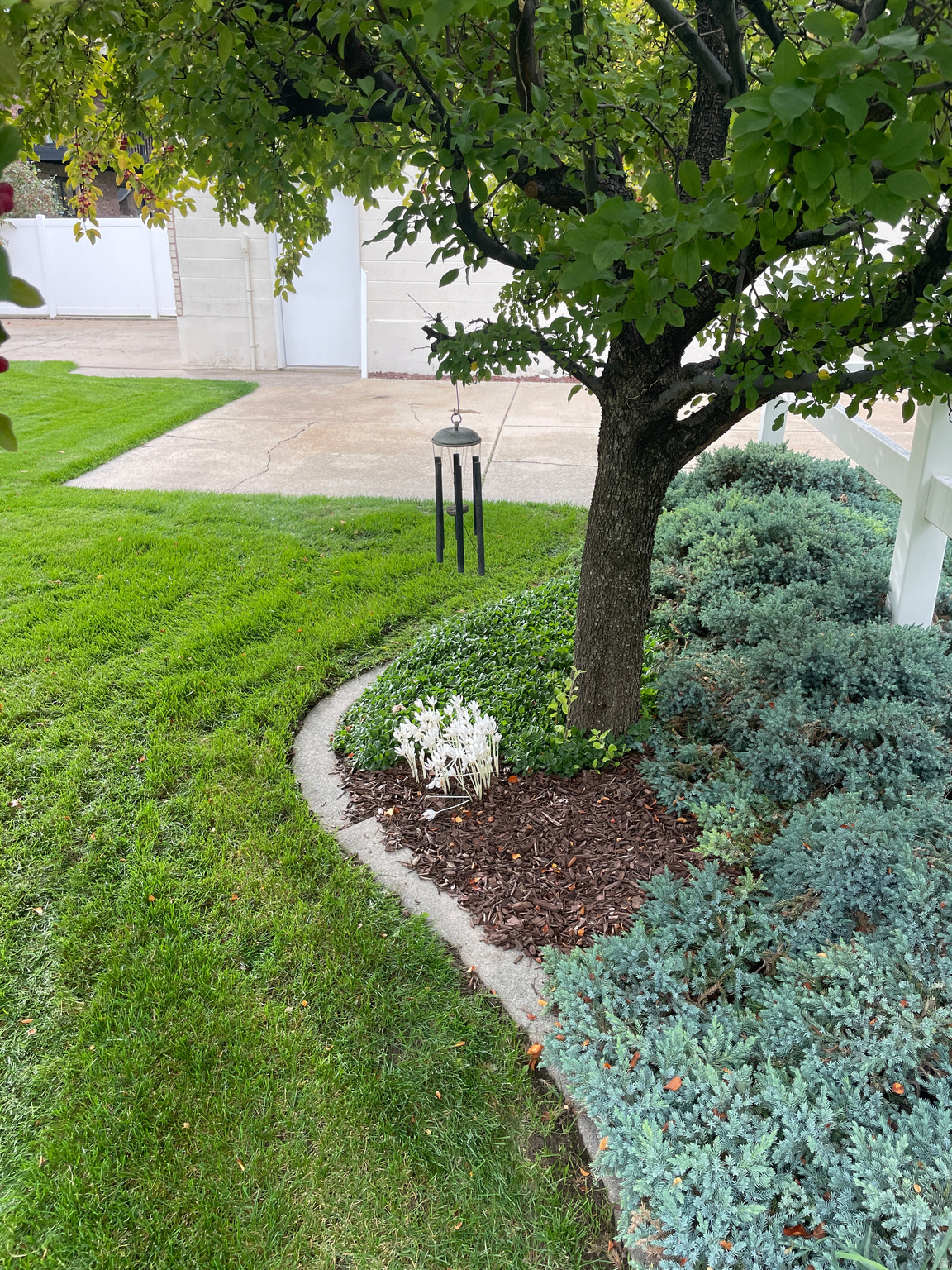 WOOD ESTATES - Residential