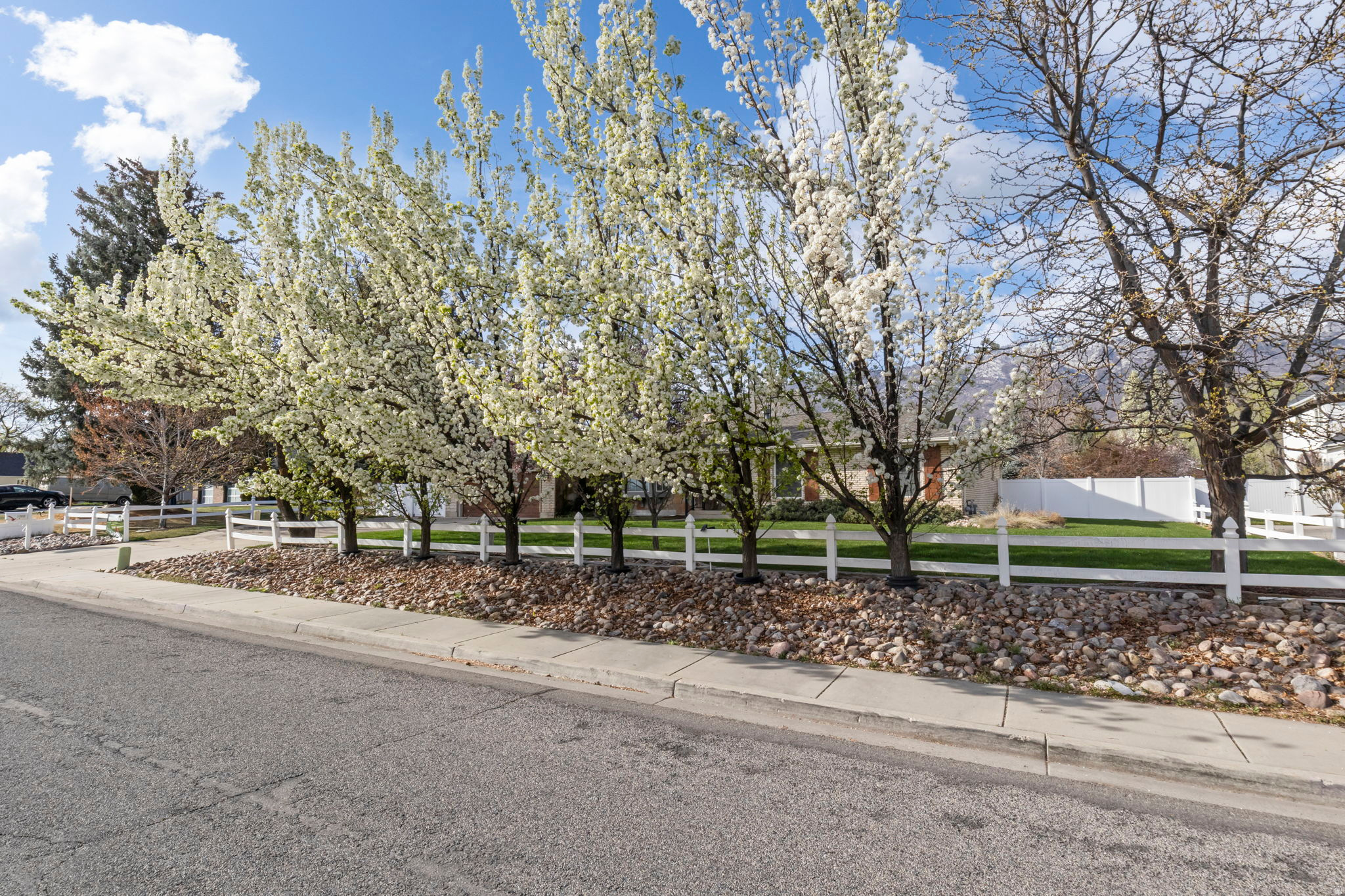 WOOD ESTATES - Residential