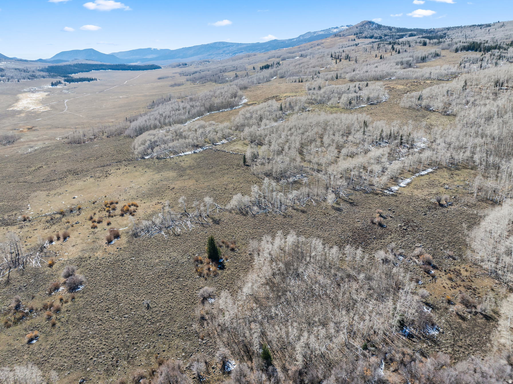 SHEEP VALLY ESTATES - Land