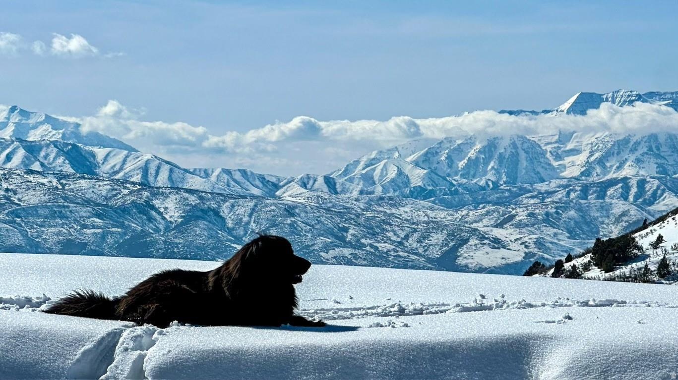 WOLF CREEK RANCH - Residential