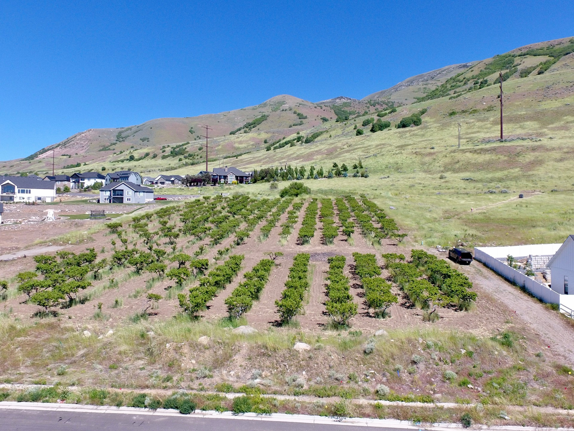 MOUNT PLEASANT ESTATES PH. 3 - Land