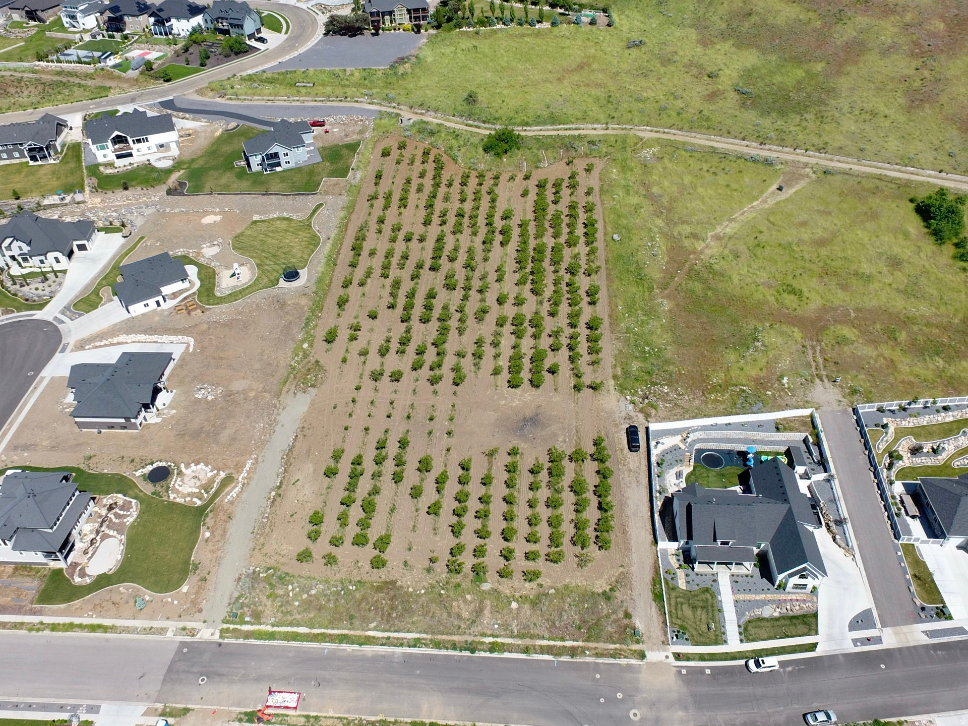 MOUNT PLEASANT ESTATES PH. 3 - Land