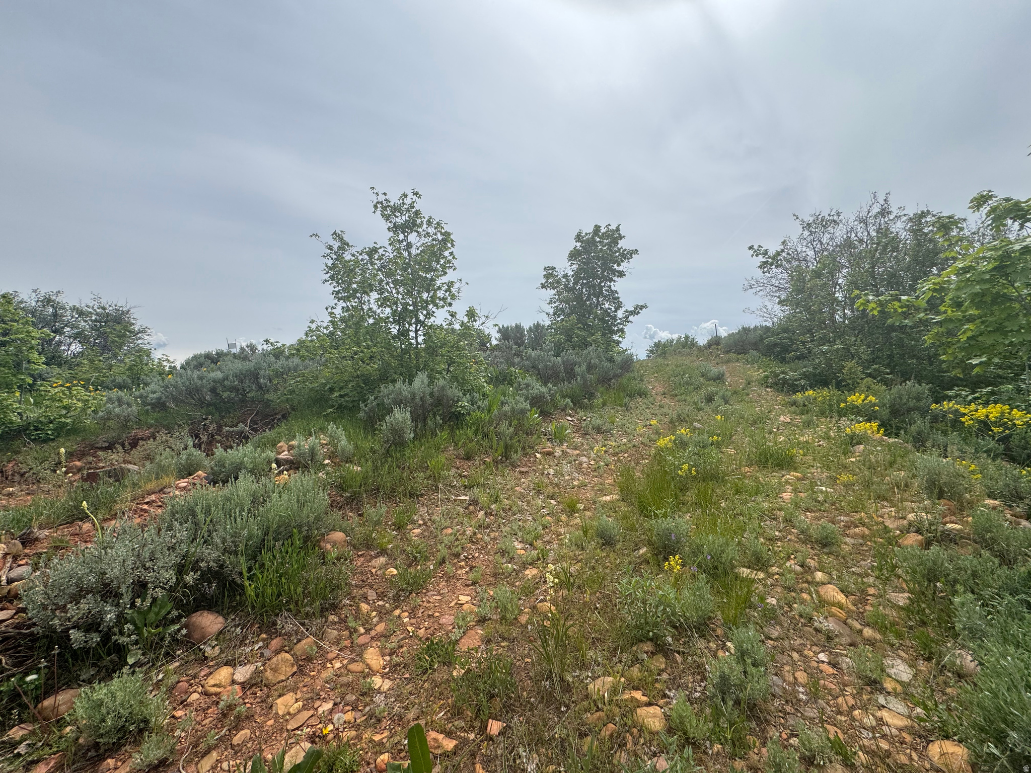 EVERGREEN PARK SUBDIVISION NO. 1 - Land