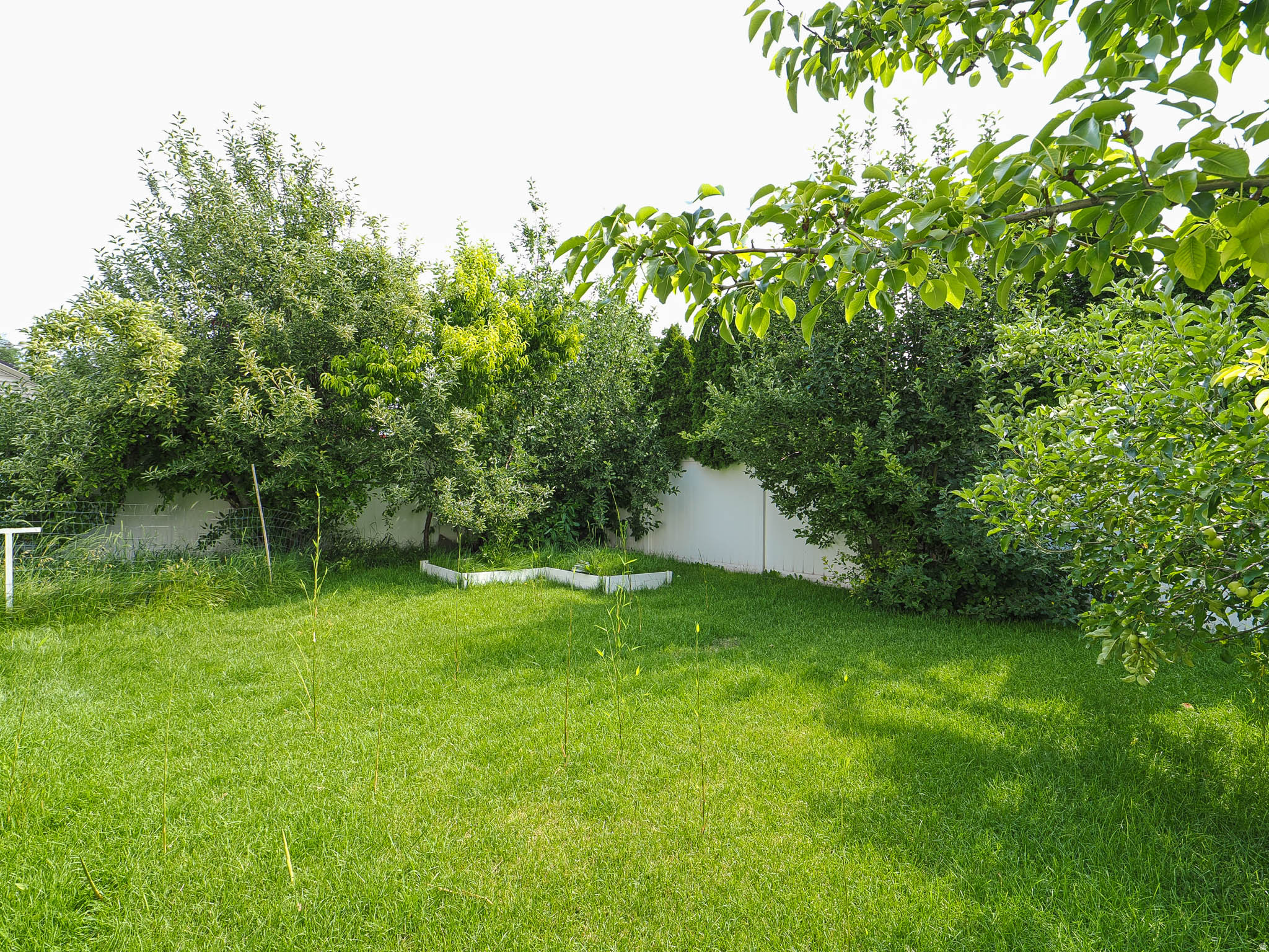 MADISON ACRES - Residential