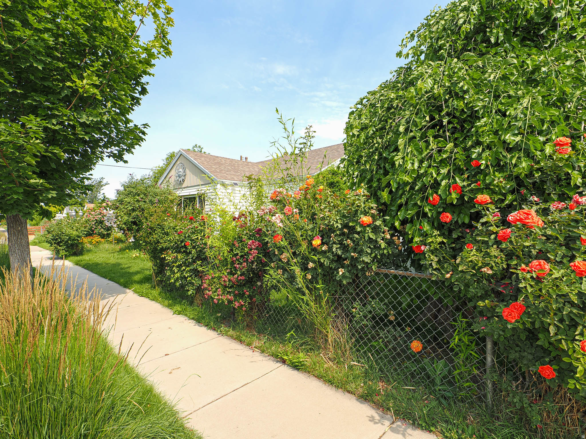 MADISON ACRES - Residential