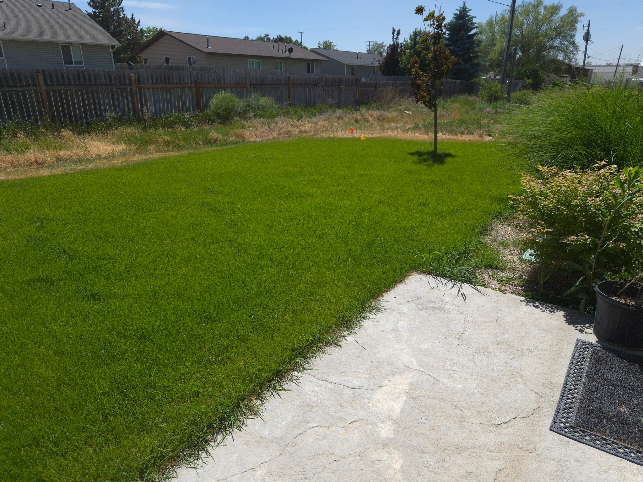 PINE TREE ESTATES - Residential