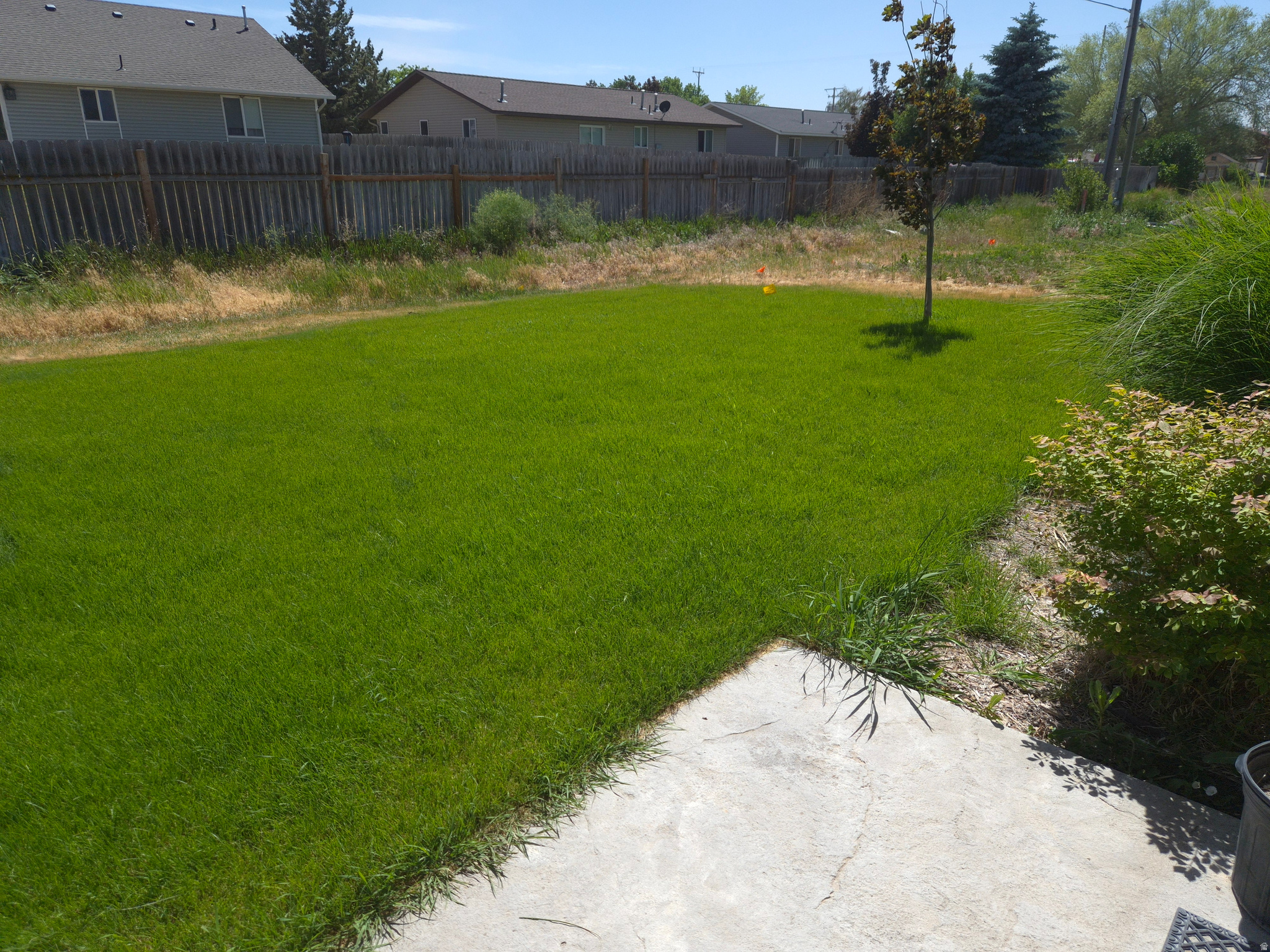 PINE TREE ESTATES - Residential
