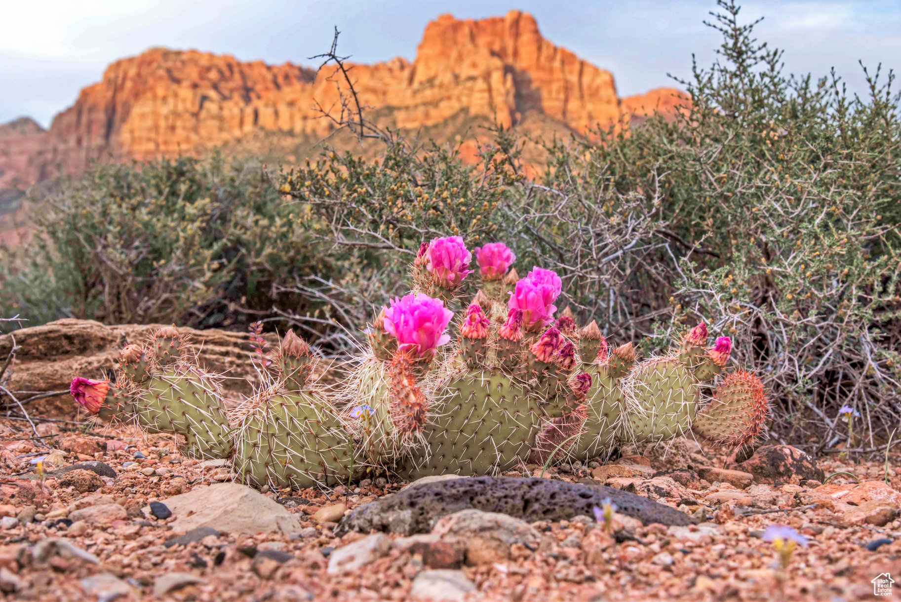 CANYON POINT - Land
