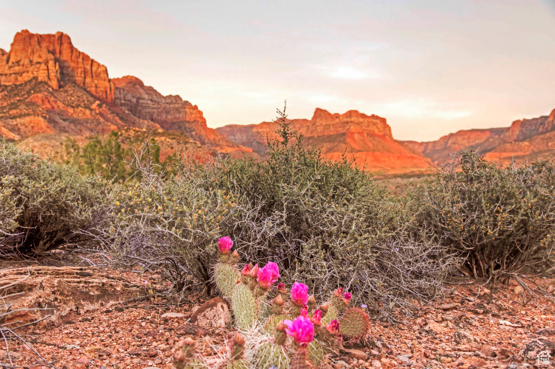 CANYON POINT - Land