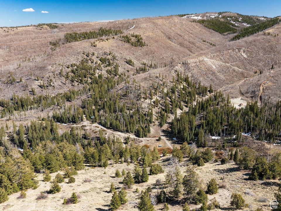 ARGYLE CANYON - Land