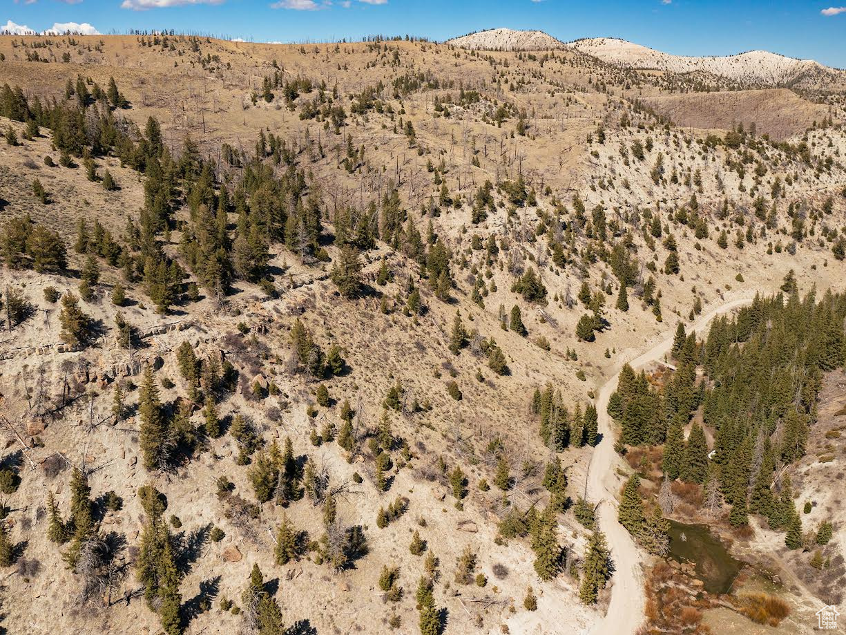 ARGYLE CANYON - Land