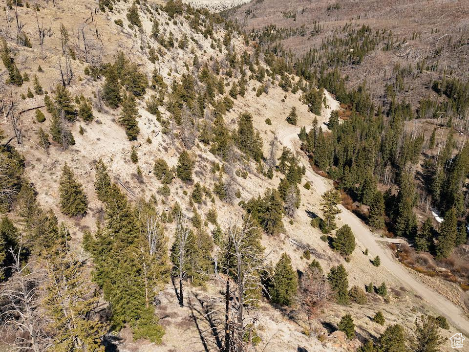 ARGYLE CANYON - Land