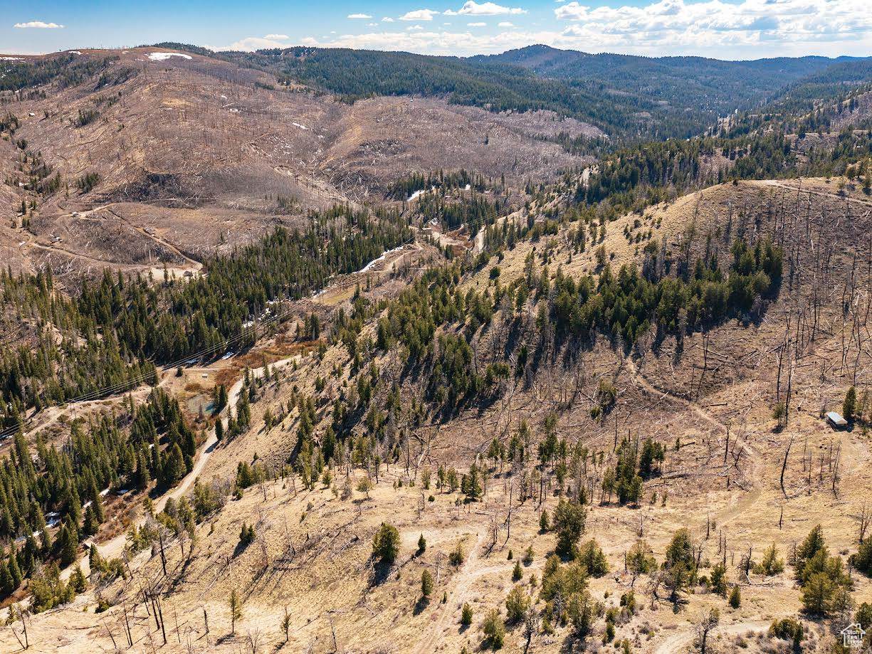 ARGYLE CANYON - Land