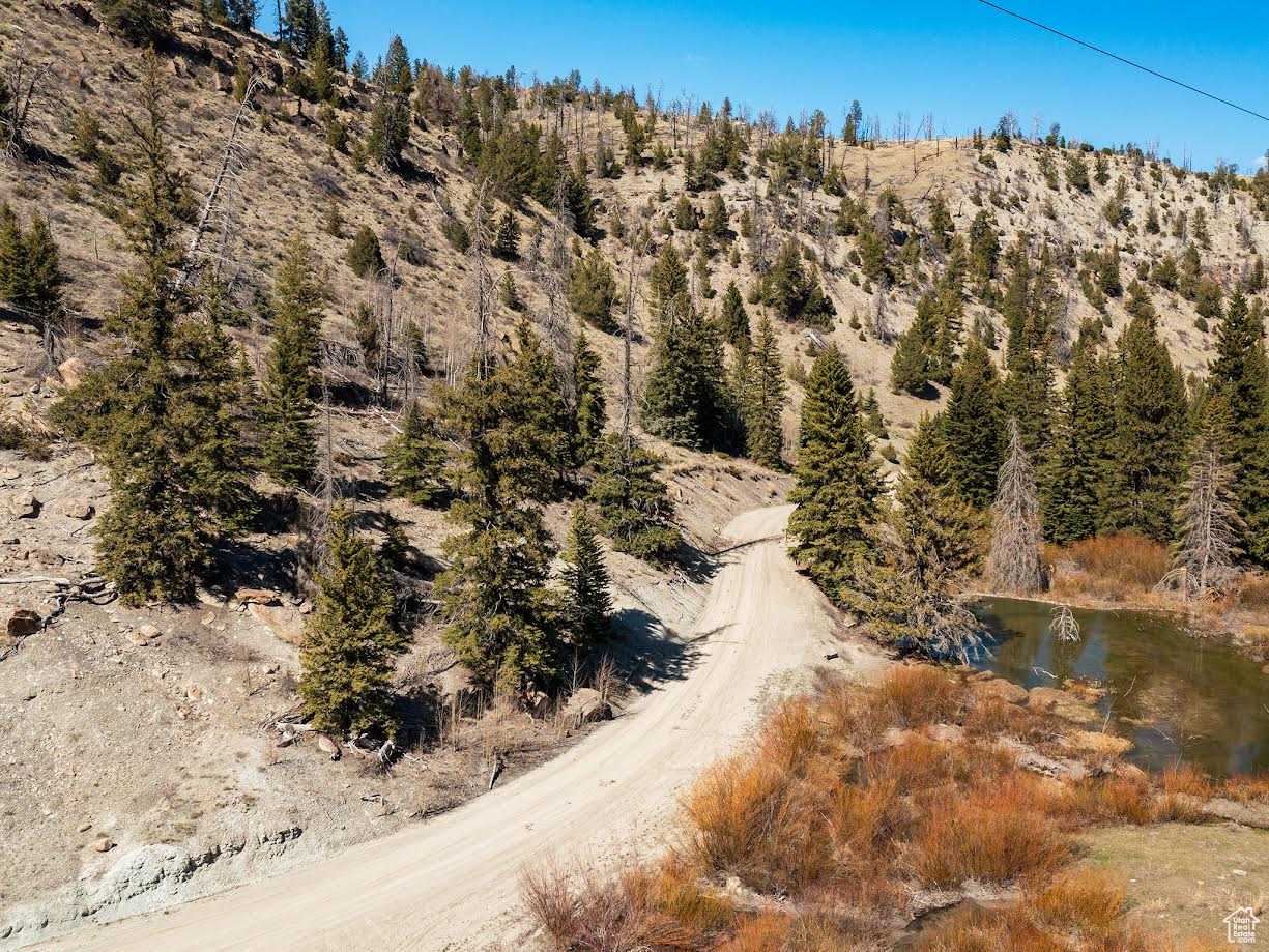 ARGYLE CANYON - Land