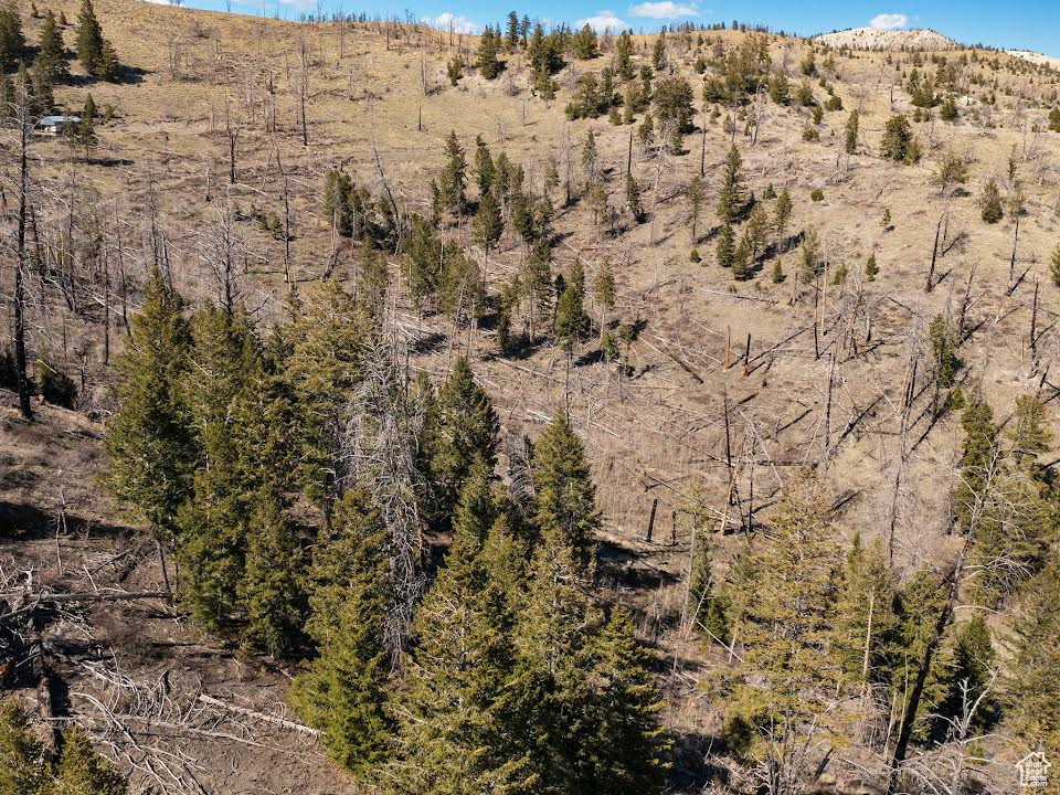 ARGYLE CANYON - Land