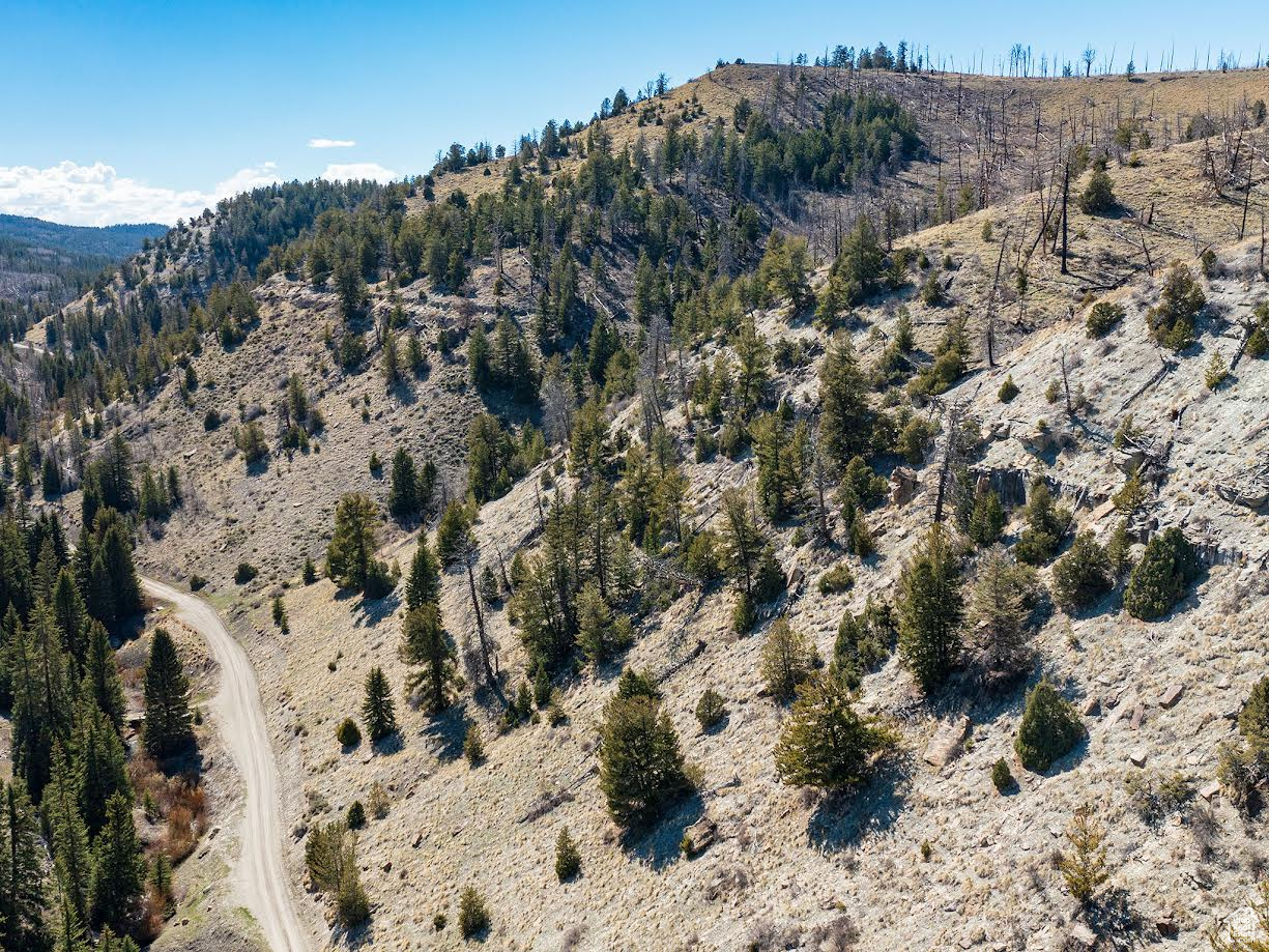 ARGYLE CANYON - Land