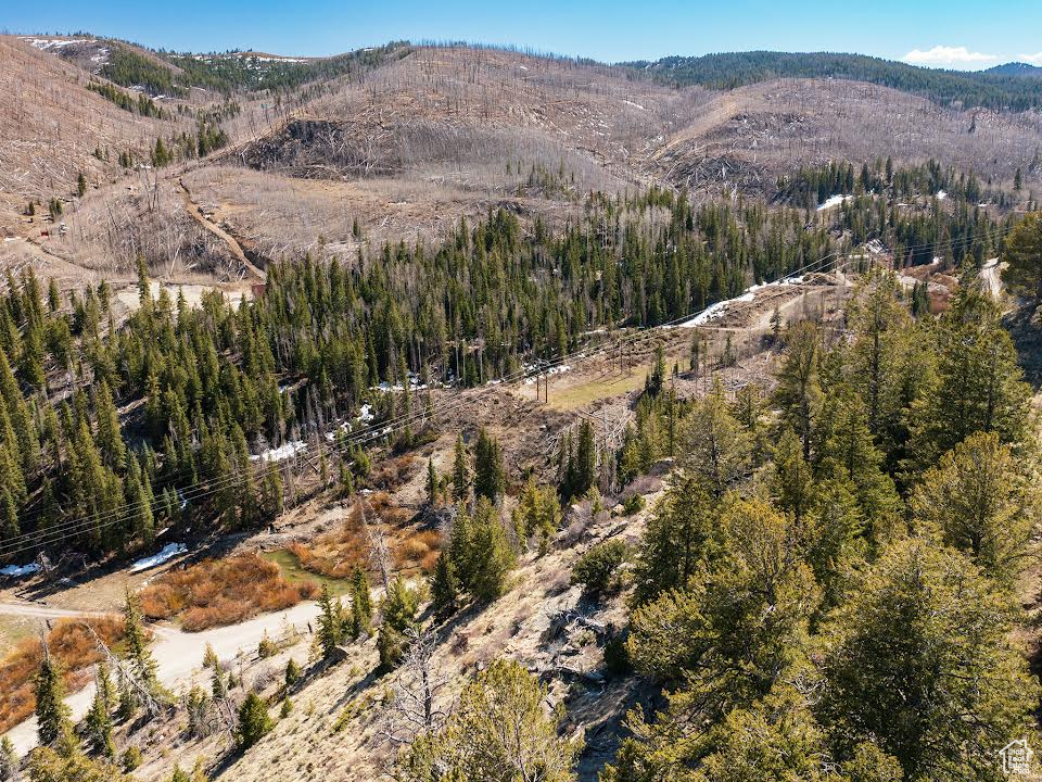 ARGYLE CANYON - Land