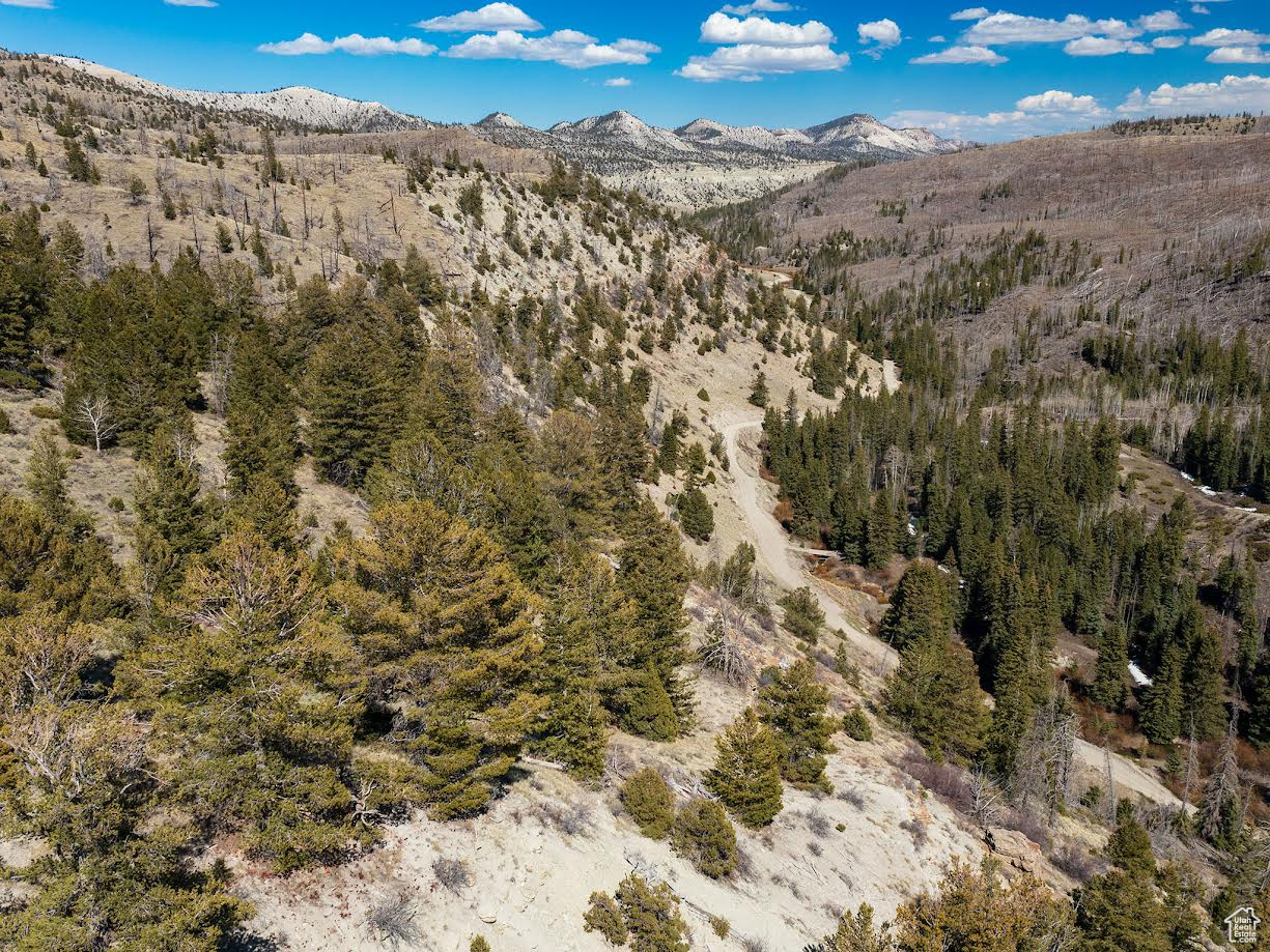 ARGYLE CANYON - Land