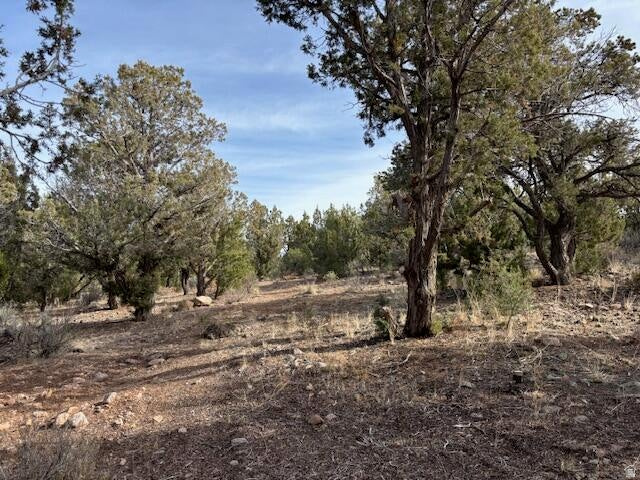 DIXIE DEER ESTATE - Land