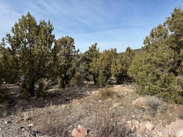 Beautifully Wooded Lot in Dixie Deer Estates. Escape to the cool mountain air of Dixie Deer Estates with this nicely wooded property located at approximately 5,500 feet elevation, offering refreshing summer temperatures while still being only about 25 miles from St. George. Situated at the top of the circle, this lot provides added peace, privacy, and seclusion with easy access and minimal traffic. Enjoy the natural beauty of the area with abundant wildlife, including mule deer and wild turkeys that frequently roam the surrounding forest. Utilities are conveniently nearby with water connection available through Dixie Deer Water and power provided by Rocky Mountain Power. A septic system will be required, and a completed perc test is already in place. Washington County maintains the roads, providing year-round accessibility. Whether you're looking to build your primary mountain residence or create the perfect weekend retreat, this property offers the ideal blend of wooded tranquility, cooler temperatures, and proximity to city amenities.