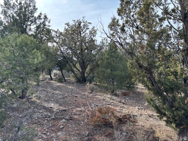 DIXIE DEER ESTATE - Land
