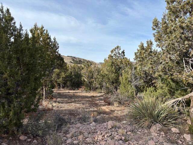 DIXIE DEER ESTATE - Land