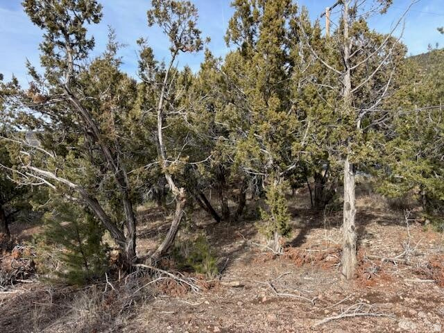 DIXIE DEER ESTATE - Land