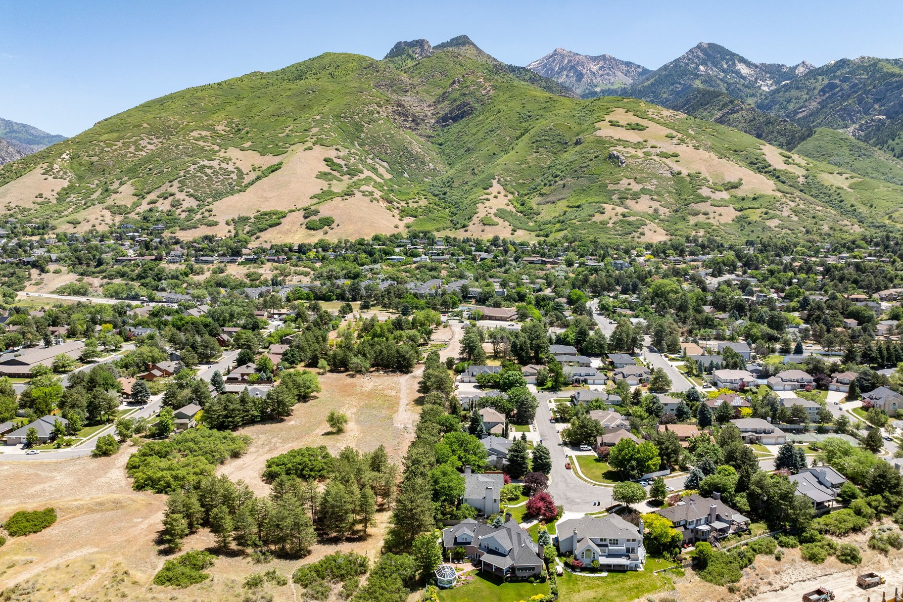 TREE FARM ESTATES - Residential