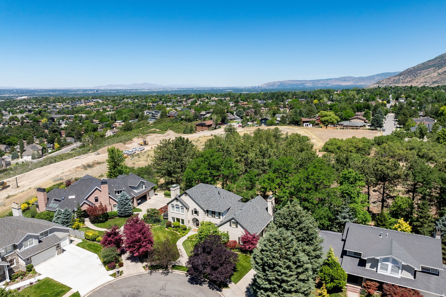 TREE FARM ESTATES - Residential