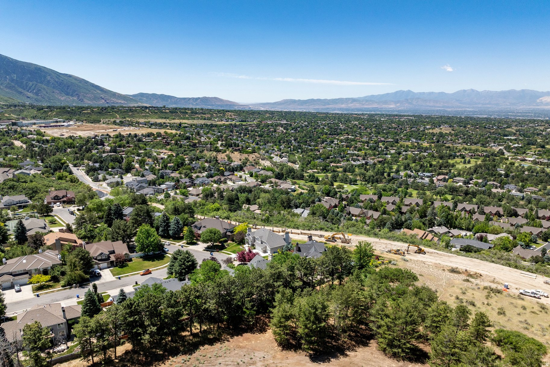 TREE FARM ESTATES - Residential