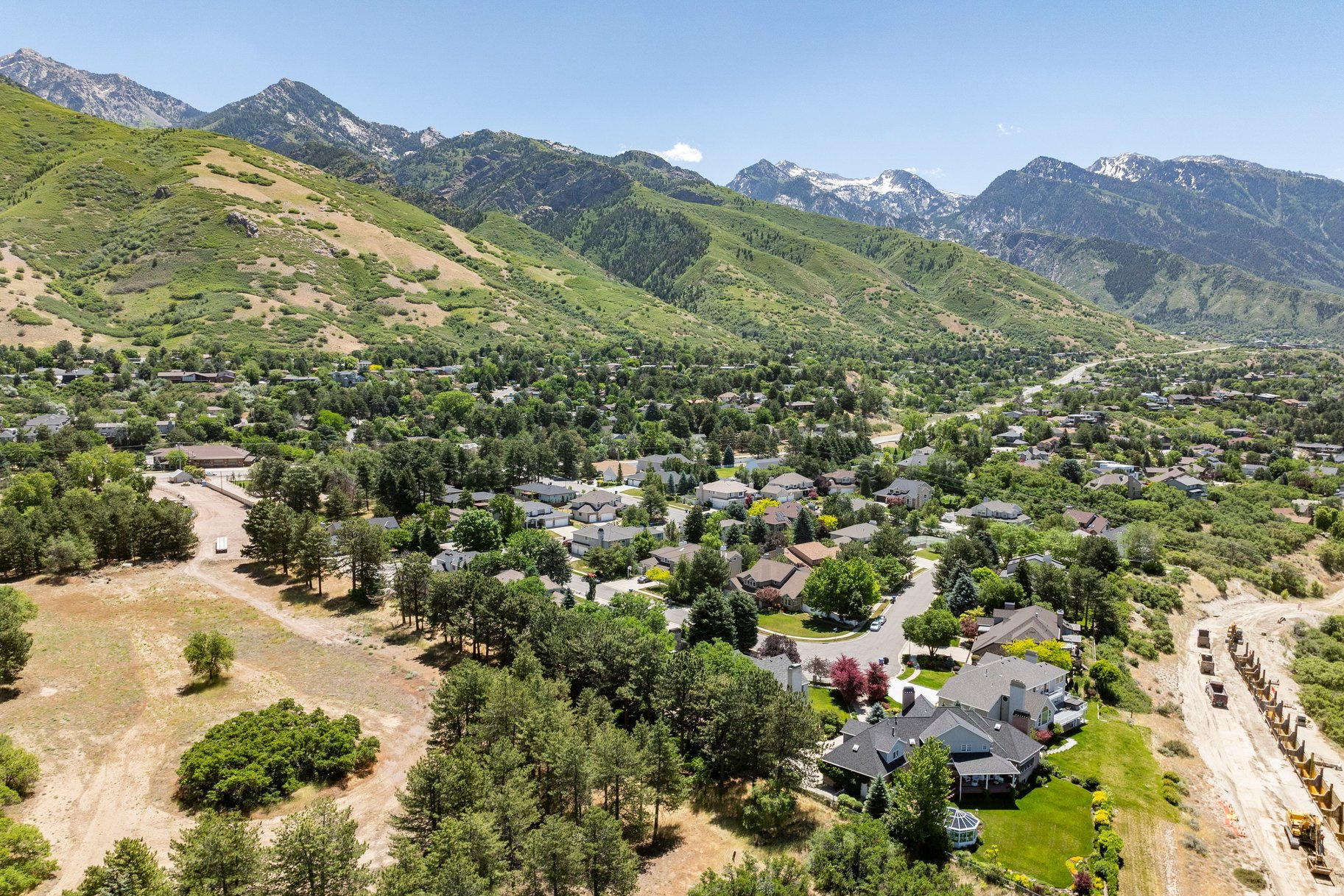 TREE FARM ESTATES - Residential