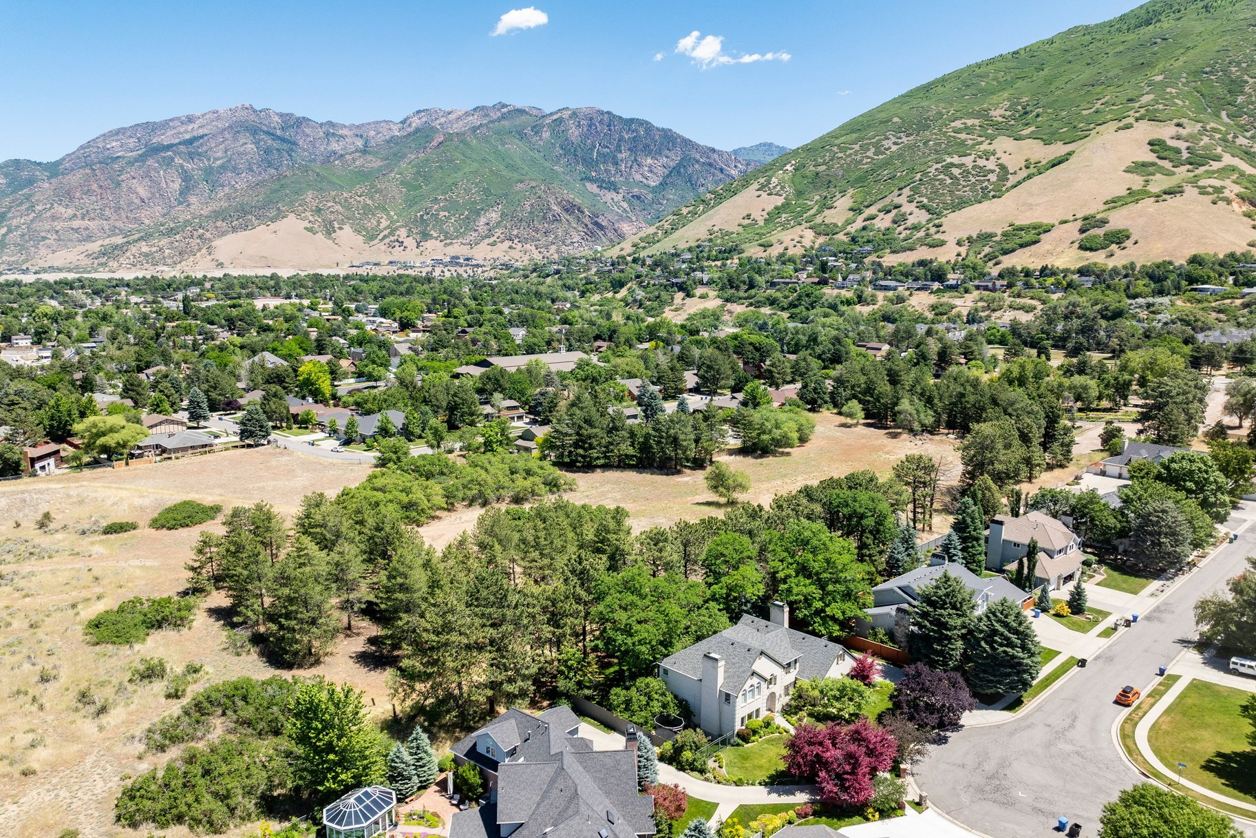 TREE FARM ESTATES - Residential