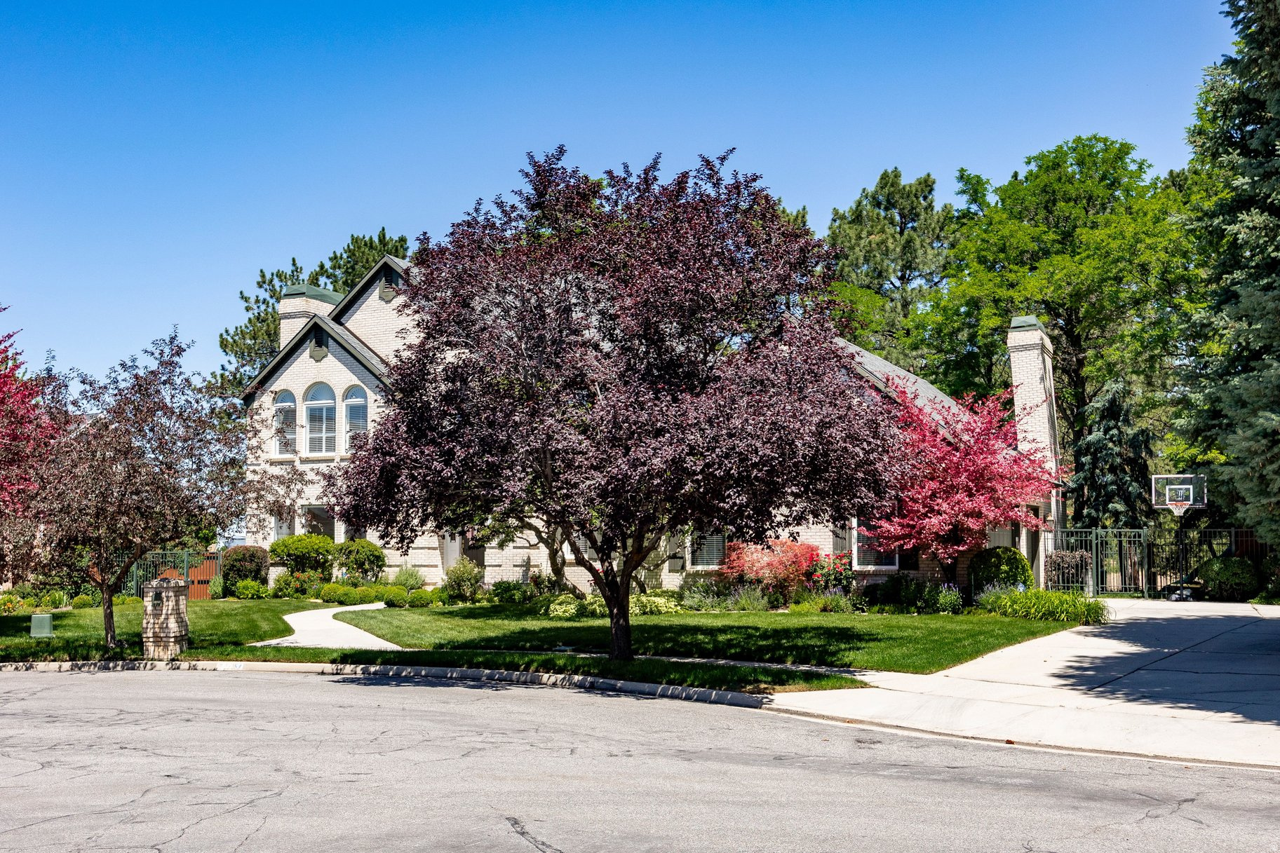TREE FARM ESTATES - Residential