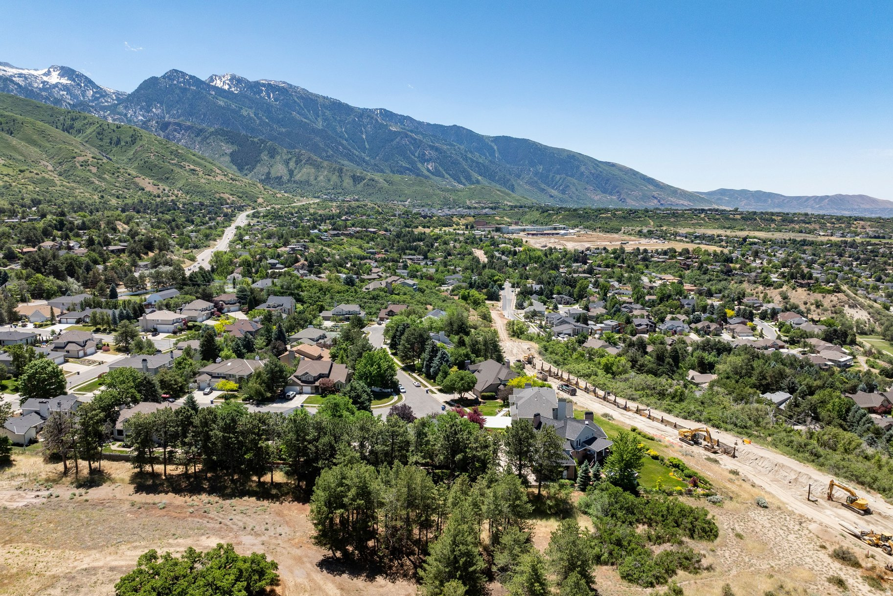 TREE FARM ESTATES - Residential