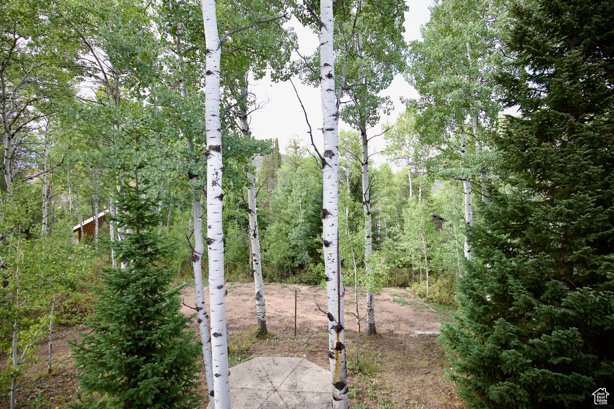 PINE MOUNTAIN - Residential