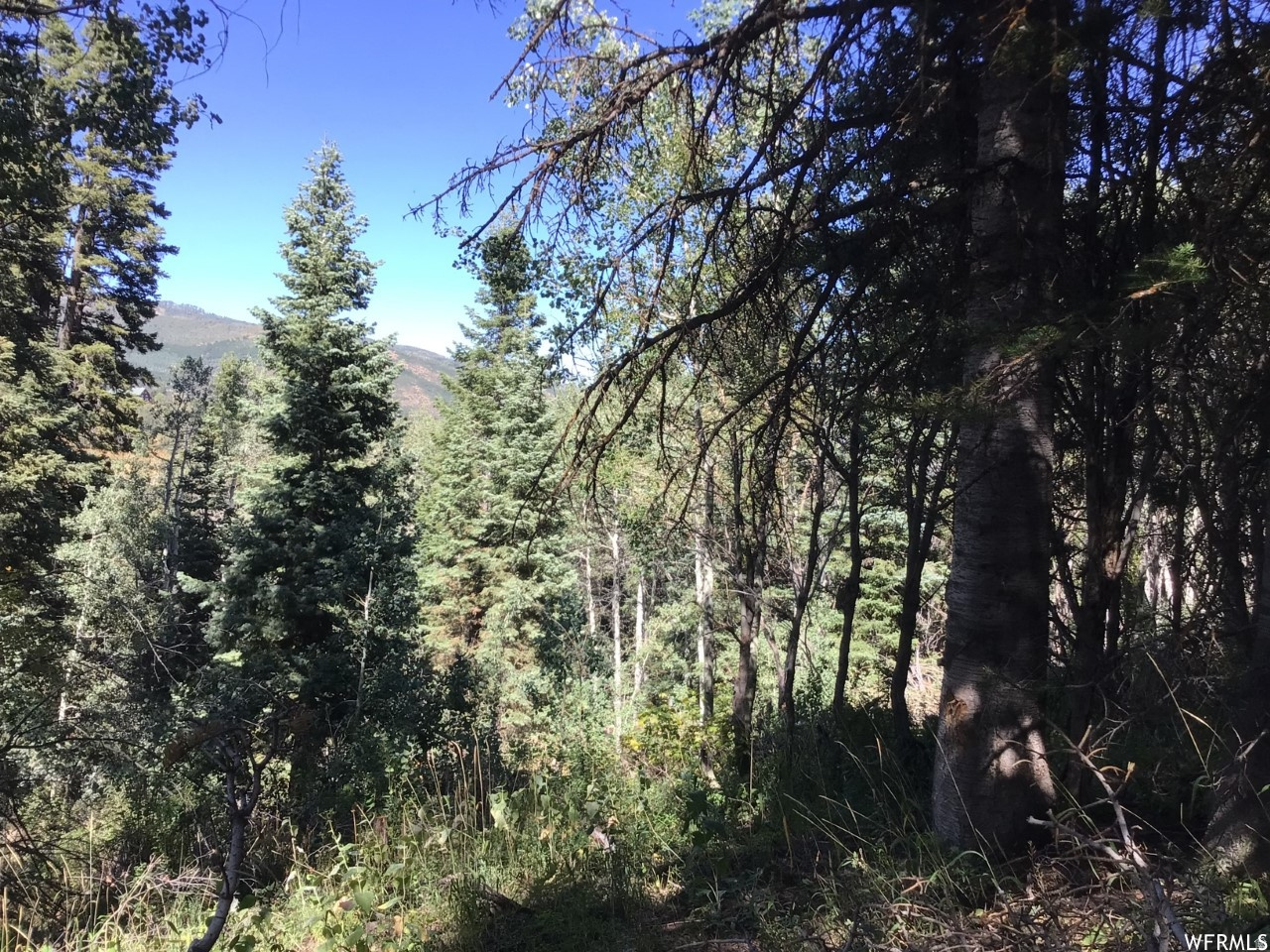 FOREST MEADOW RANCH - Land