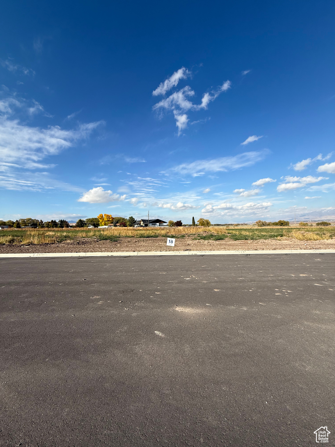 BLUEBERRY SPRINGS DEVELOPMENT LLC - Land