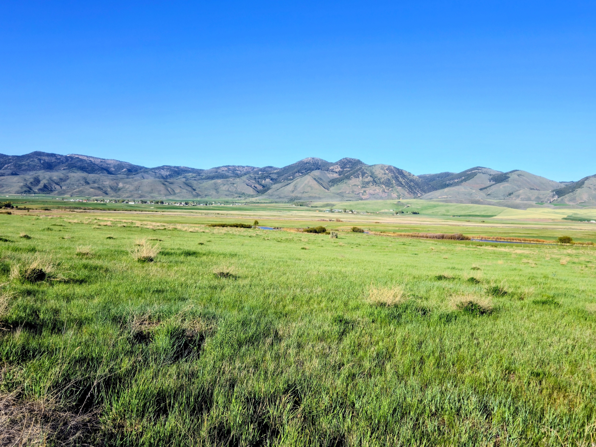 Build your dream home in the highly desirable Bear River Estates. These premium 5-acre building lots offer the perfect combination of privacy, accessibility, and breathtaking natural surroundings, with stunning views of the surrounding mountains and overlooking the Bear River.  Each parcel includes power stubbed to the property, septic approval through Southeast Idaho Public Health, and convenient year-round access from a county-maintained road. With no HOA and no CCRs, you'll enjoy the flexibility and freedom to create the property that fits your vision.  Bring your own builder and take advantage of this rare opportunity to own acreage in a peaceful rural setting with exceptional scenery and recreational access nearby.  Seller may consider carrying a contract with approved terms.  Contact the listing agent today for additional information or to schedule a showing.