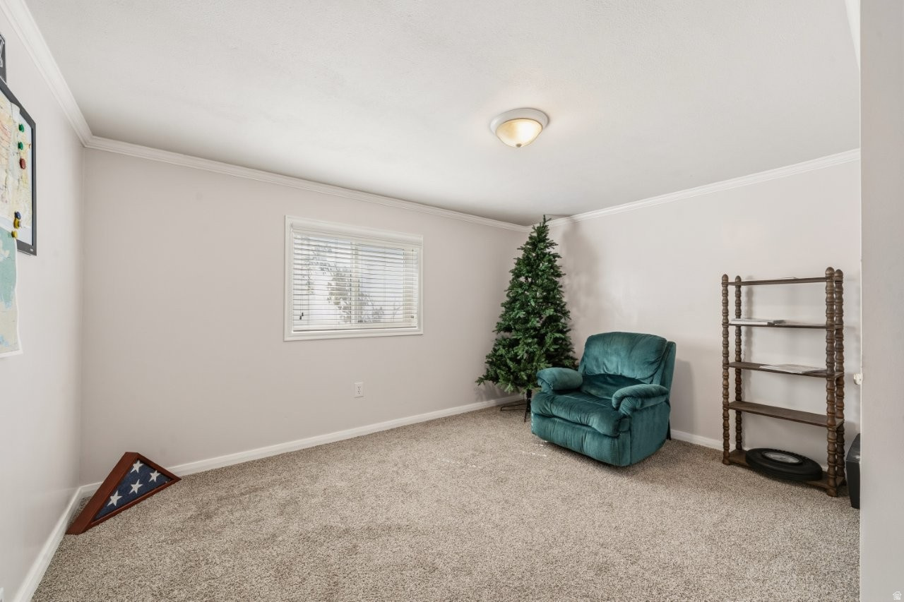 MEADOW PARK #10 - Residential