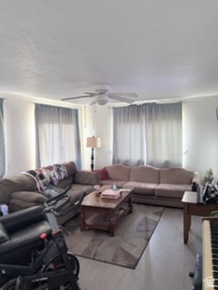 MOUNTAIN VIEW PARK - Residential