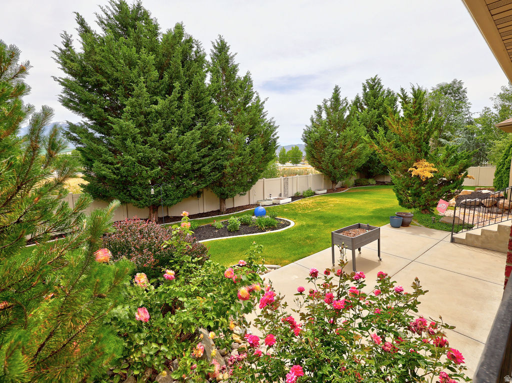 AUTUMN VIEW - Residential