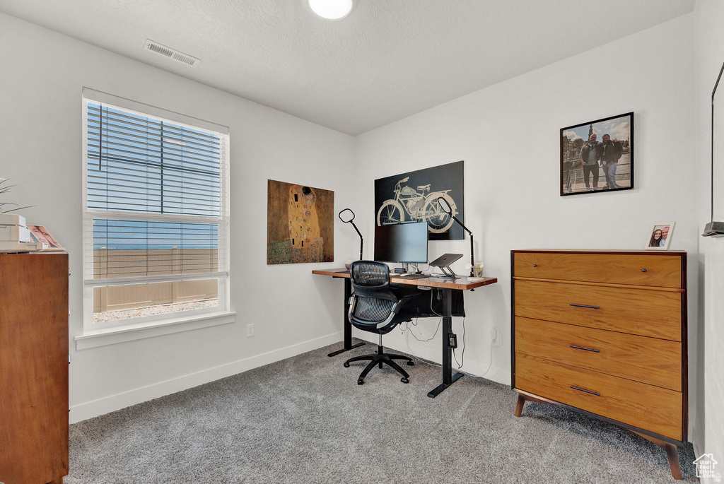 WILDFLOWER - Residential