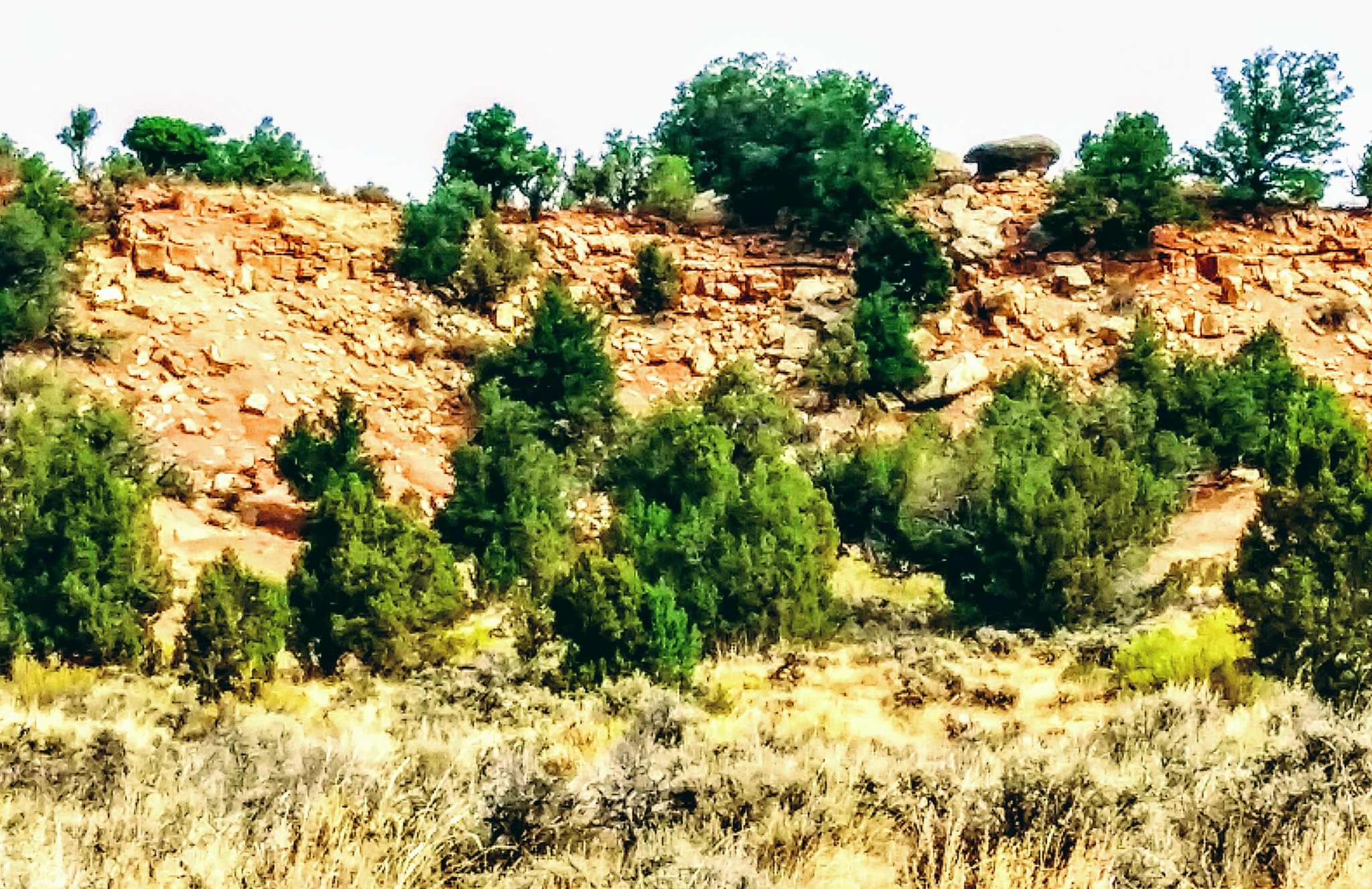 RED CREEK RANCHES - Land