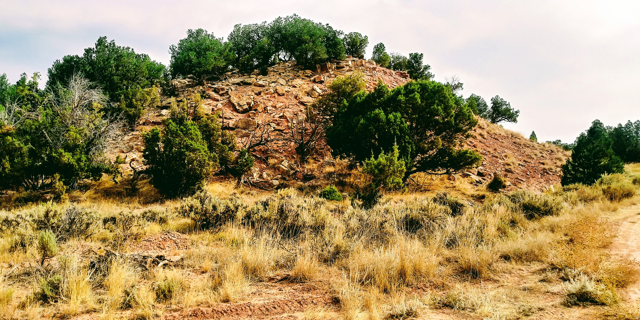 RED CREEK RANCHES - Land