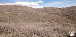 MOUNT BALDY ESTATES - Land
