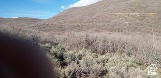 MOUNT BALDY ESTATES - Land