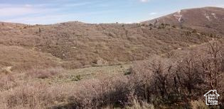 MOUNT BALDY ESTATES - Land