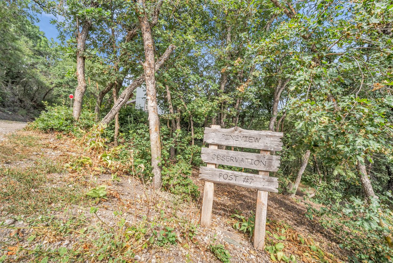 PINEVIEW MOUNTAIN ES - Residential
