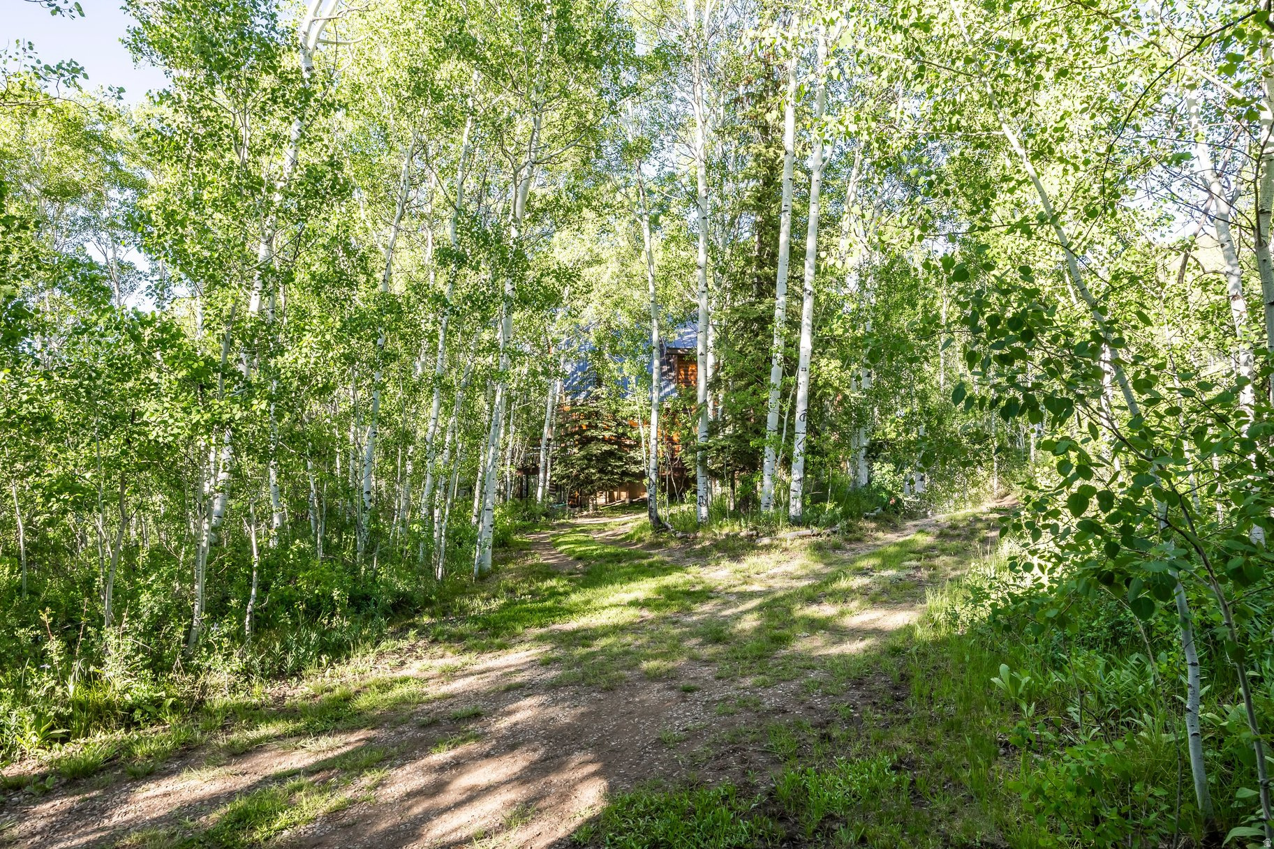 MEADOWVIEW RANCH - Residential